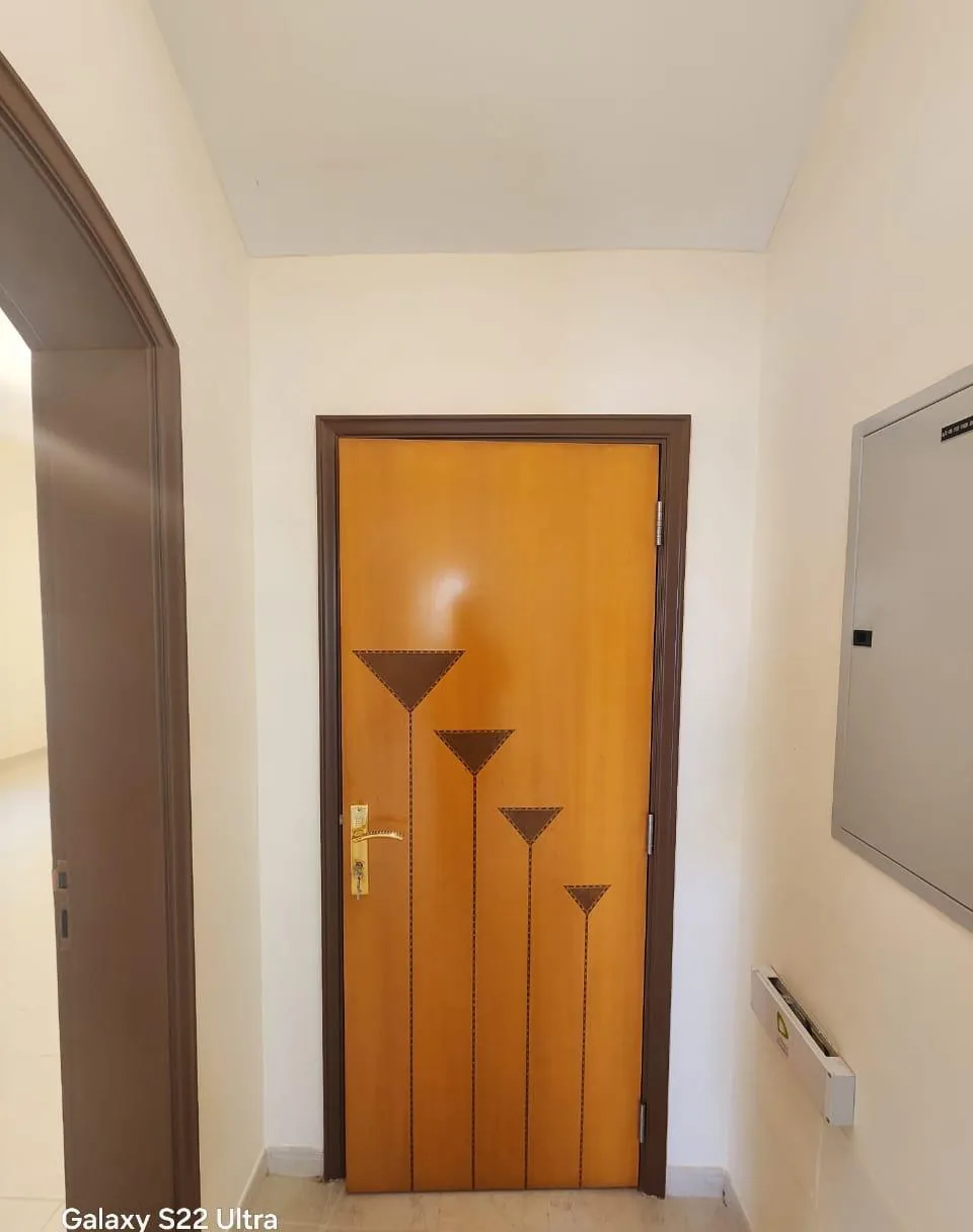 Wooden hallway door with a triangular inlay design and brass handle