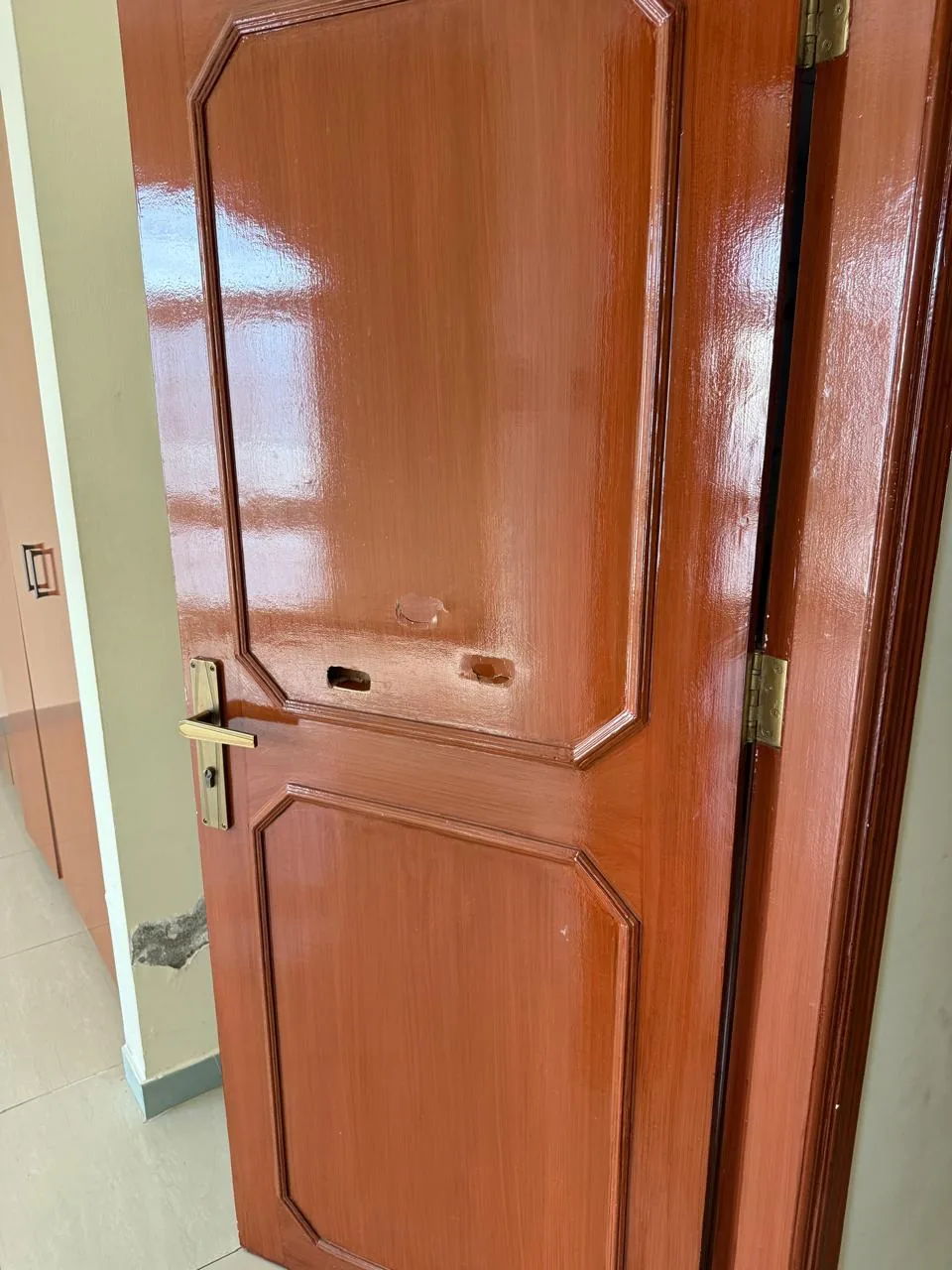 Glossy varnished panel door with brass handle
